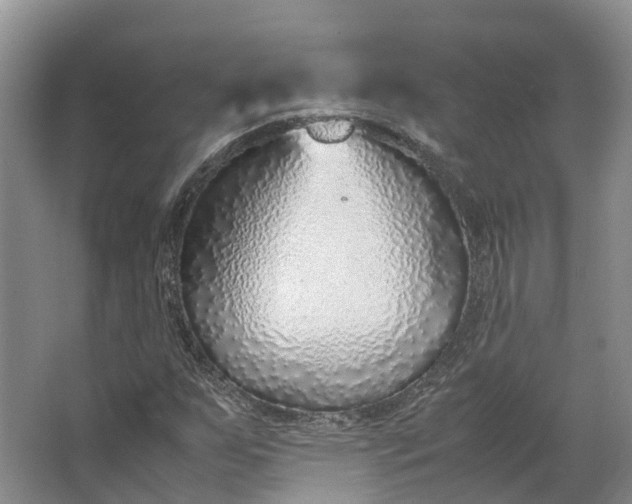 X0000062801255200601051102