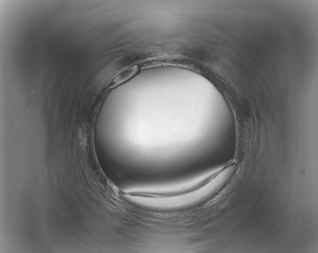 X0000062801257200601051102