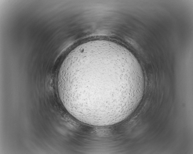 X0000062801258200601051102