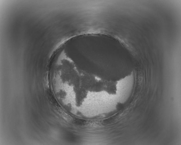 X0000062801262200601051102