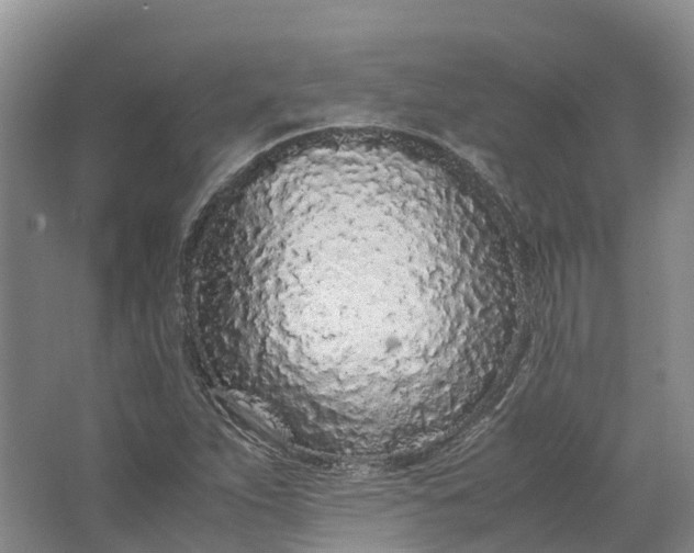 X0000062801263200601051102
