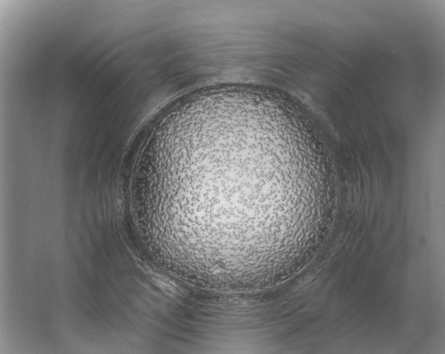 X0000062801266200601051102