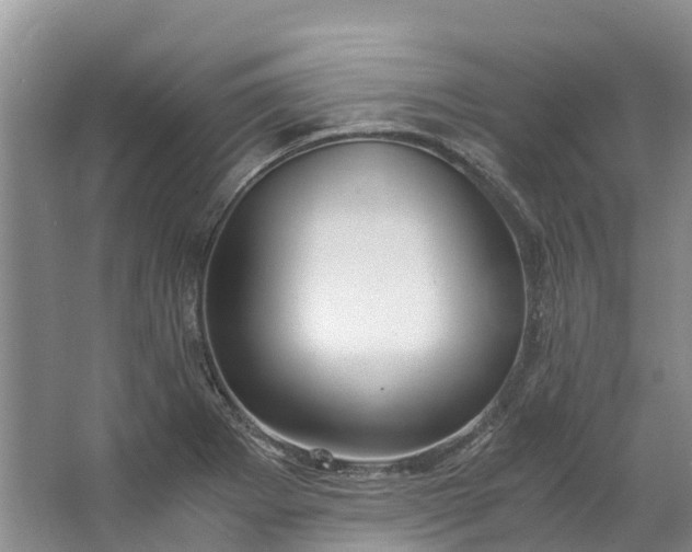 X0000062801273200601051102