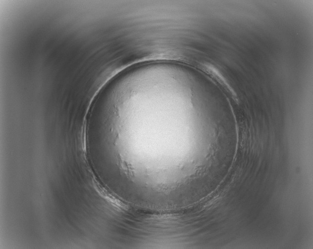 X0000062801276200601051102