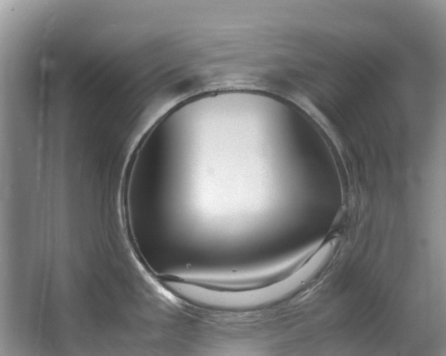 X0000062801293200601051102