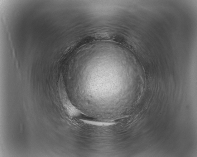 X0000062801297200601051101