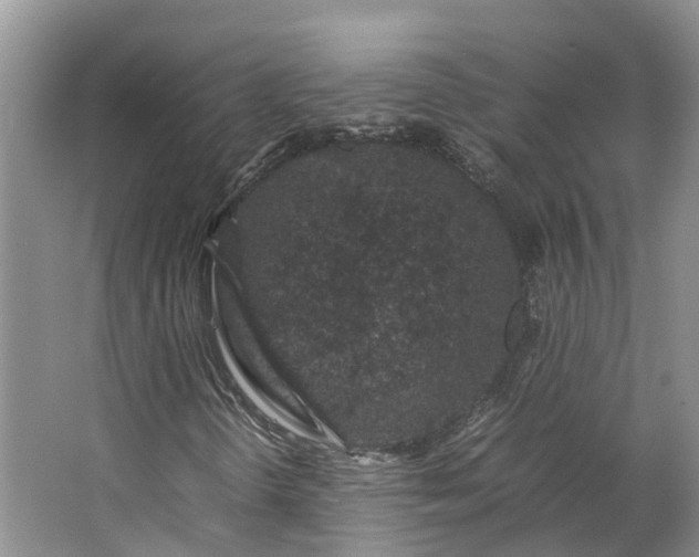 X0000062801298200601051101