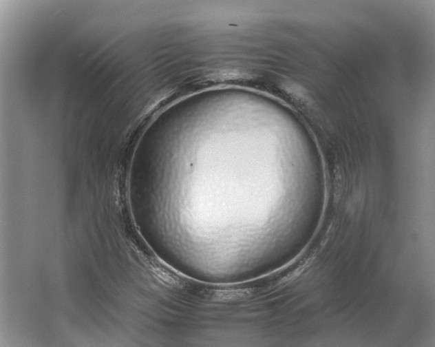 X0000062801305200601051101