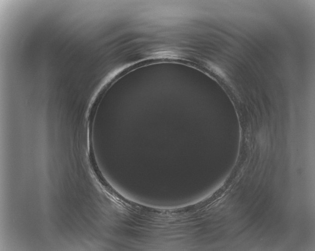 X0000062801323200601051101
