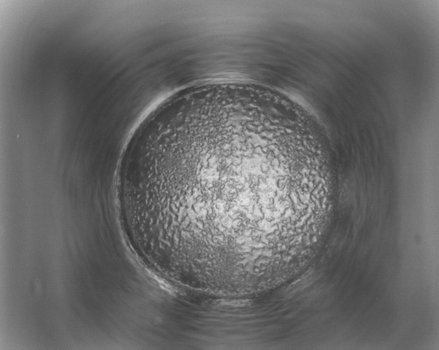 X0000062801325200601051101