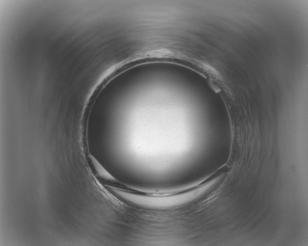 X0000062801326200601051101