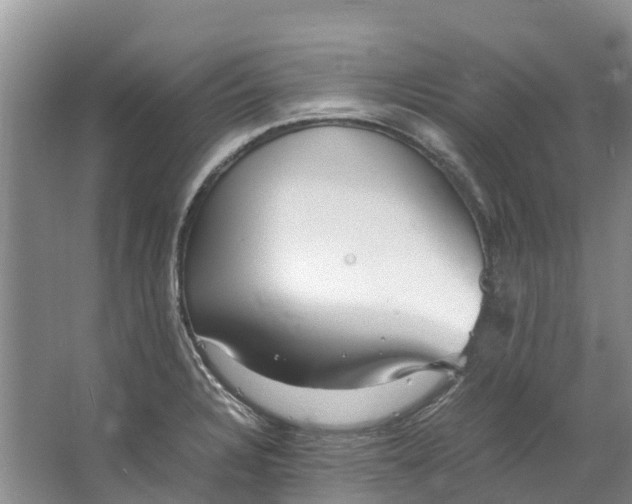 X0000062801328200601051101