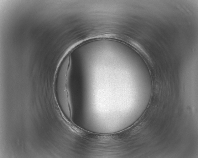 X0000062801332200601051101