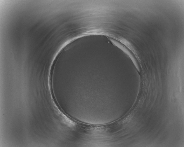 X0000062801334200601051102