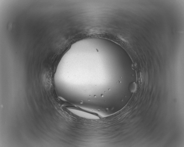 X0000062801348200601051101