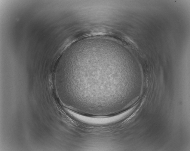 X0000062801353200601051101
