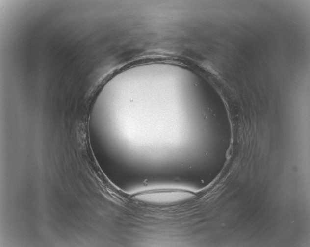 X0000062801355200601051101
