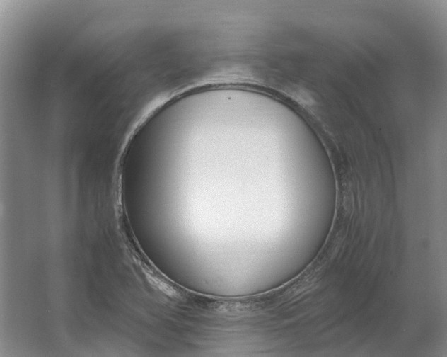 X0000062801366200601051101