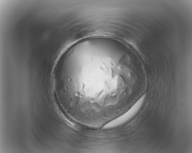 X0000062801371200601051100