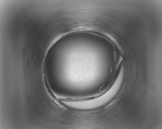 X0000062801373200601051100