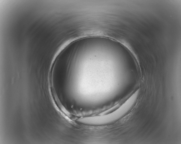X0000062801389200601051100