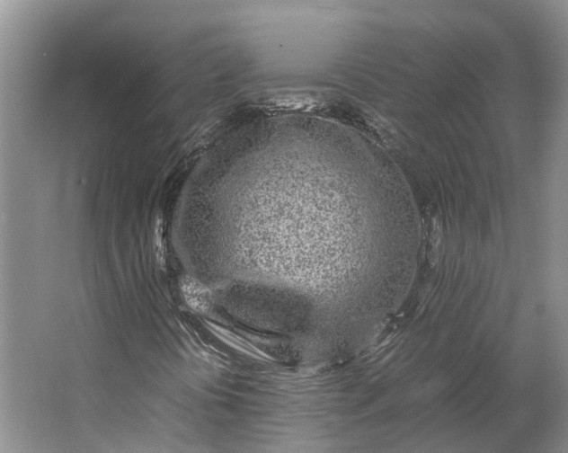 X0000062801394200601051059