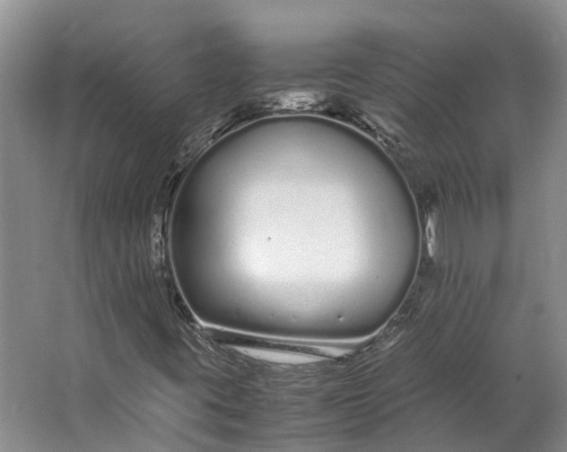 X0000062801395200601051059