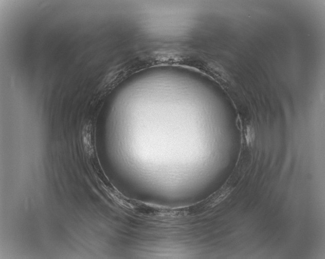 X0000062801396200601051059