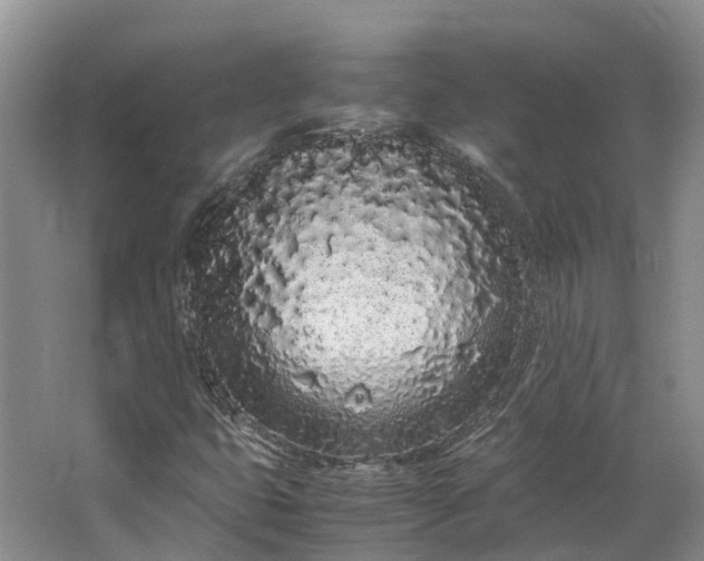 X0000062801399200601051059