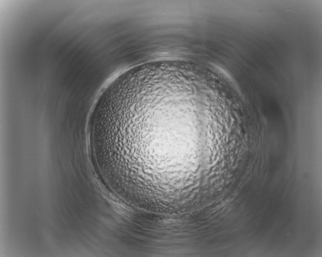 X0000062801419200601051100
