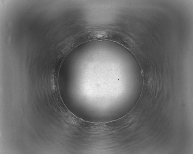 X0000062801442200601051059