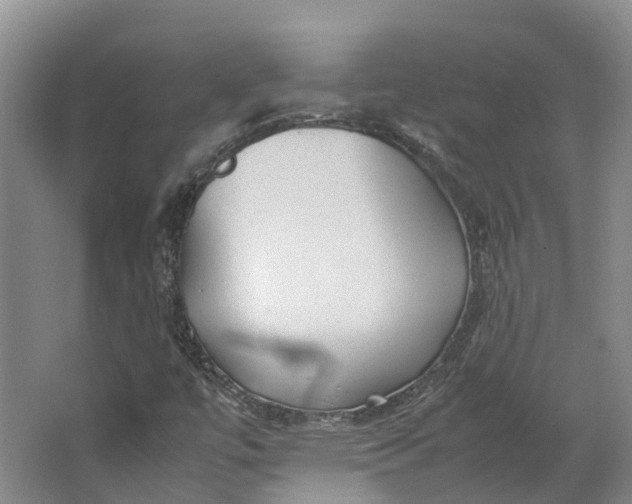 X0000062801447200601051059