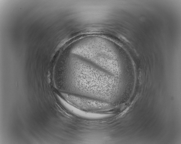 X0000062801449200601051059