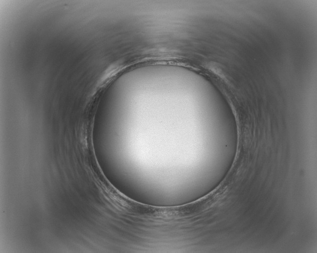 X0000062801451200601051059