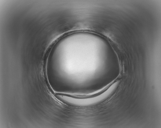 X0000062801452200601051059