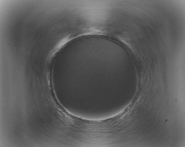 X0000062801455200601051059
