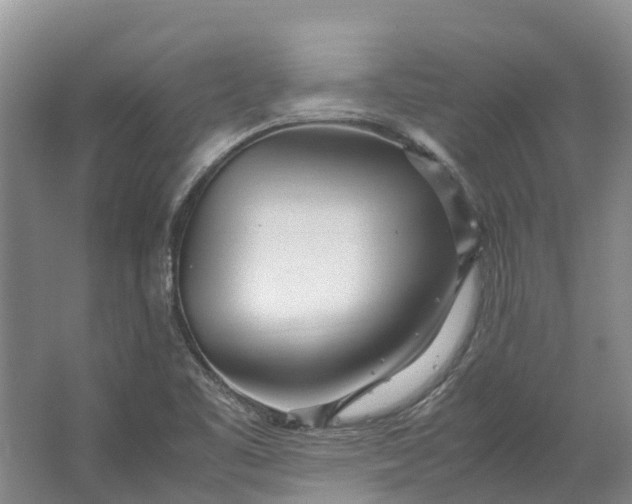 X0000062801461200601051059