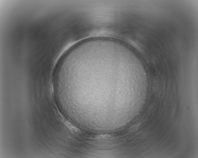 X0000062801462200601051059