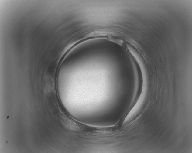 X0000062801465200601051059