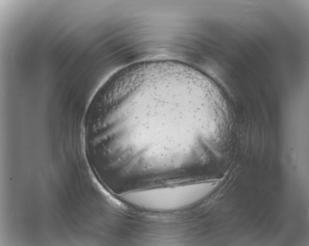 X0000062801476200601051059