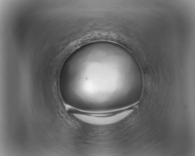 X0000062801489200601051058