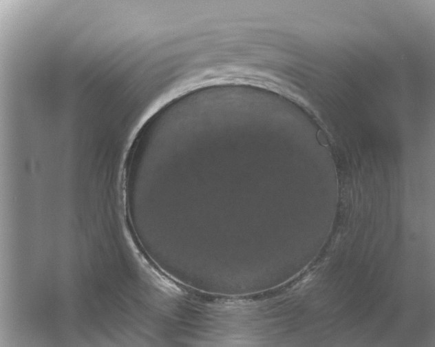 X0000062801522200601051058