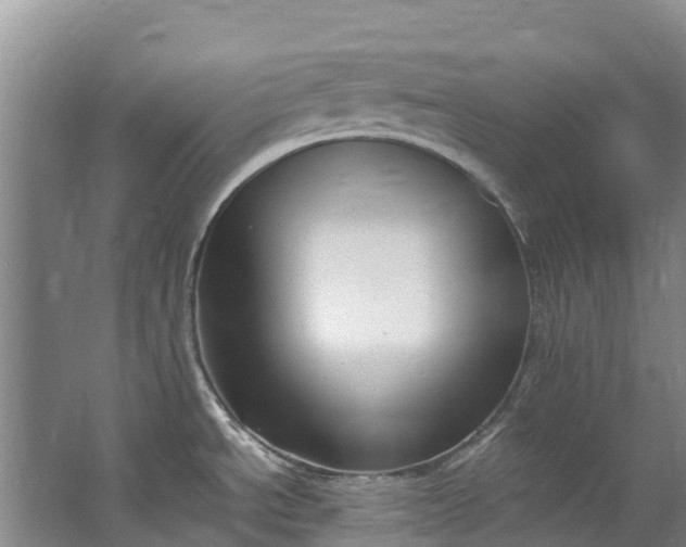 X0000062801534200601051058