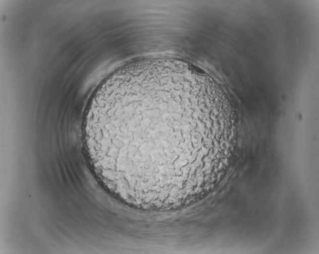X0000062800002200601121352