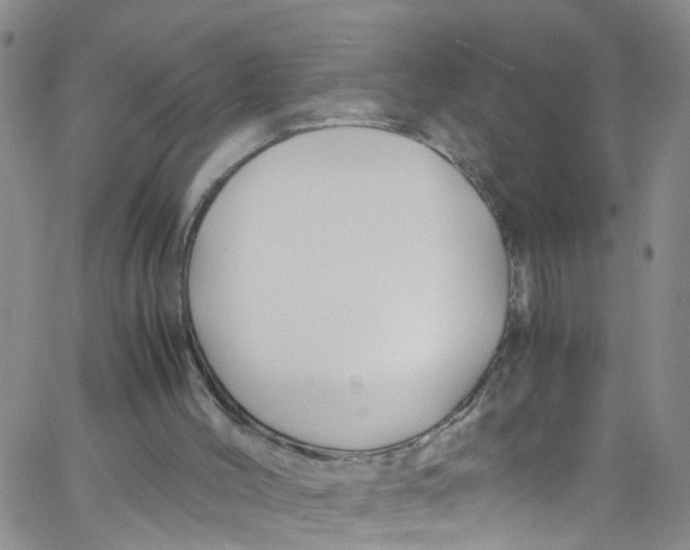 X0000062800004200601121352