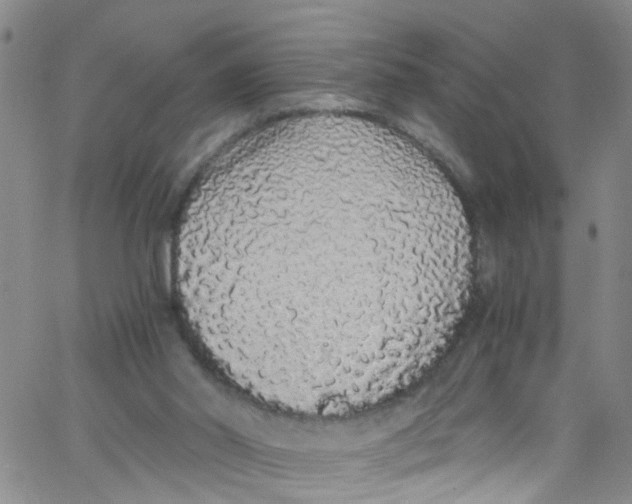 X0000062800014200601121352