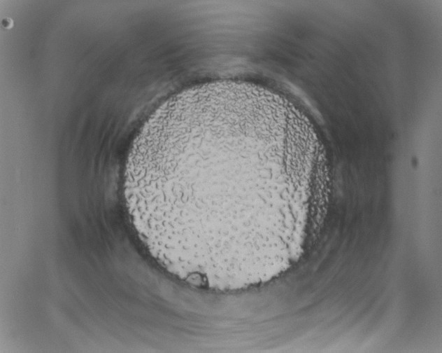 X0000062800018200601121352