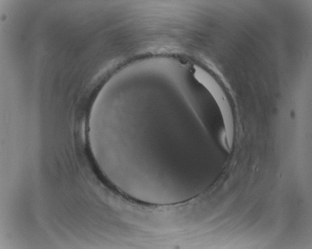 X0000062800019200601121352