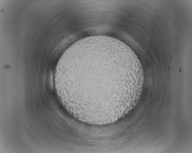 X0000062800022200601121352