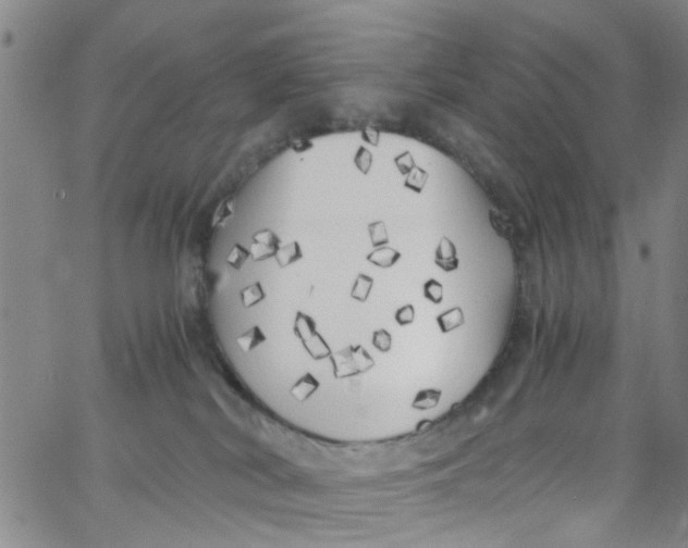 X0000062800038200601121352